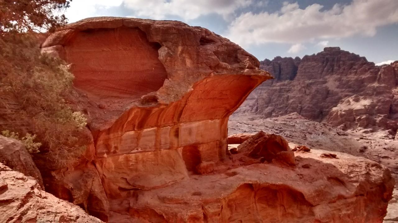 Petra Bedouin Bed&Breakfast Bed and Breakfast Wadi Musa Esterno foto